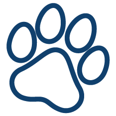 Haustier auf Anfrage