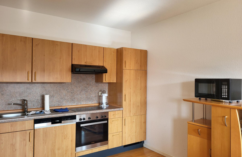 Seeland Wohnung Nr.  4 (45 A)