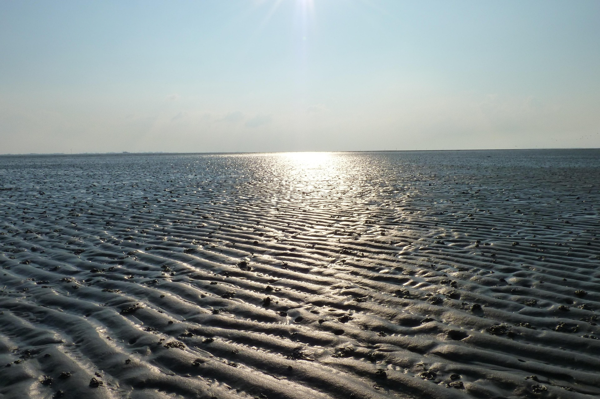 Wattwandern Cuxhaven-Duhnen